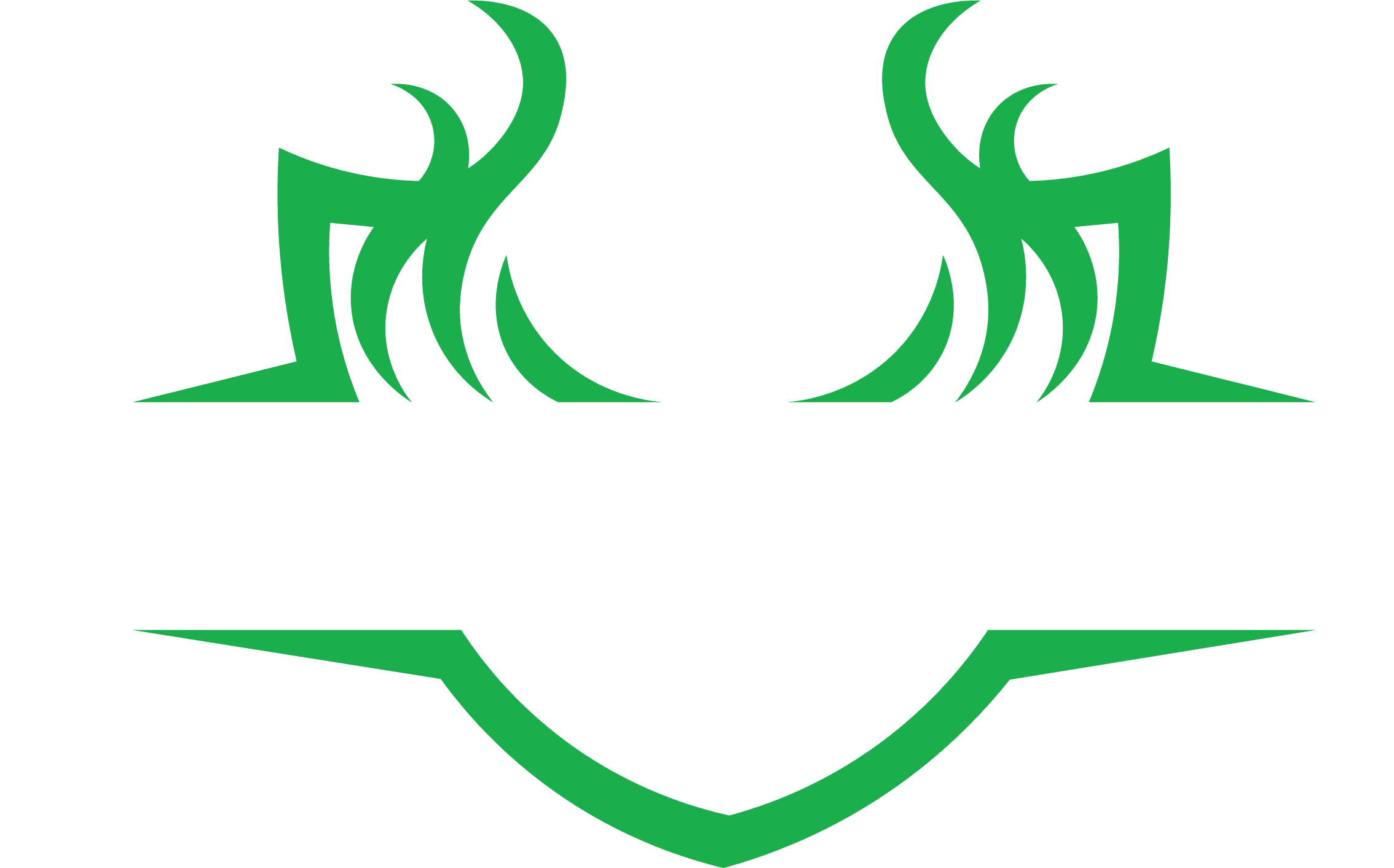 MasterLine Solution Ltd